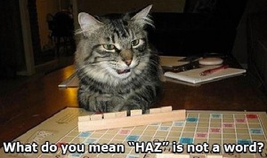 scrabble-cat-haz-is-not-a-word